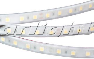 Лента RTW 2-5000PW 12V White 2x (5060,300 LED,LUX) 016169 Arlight