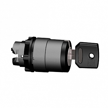 Головка переключателя с ключем, 2 позиции ZB5AG0220 Schneider Electric