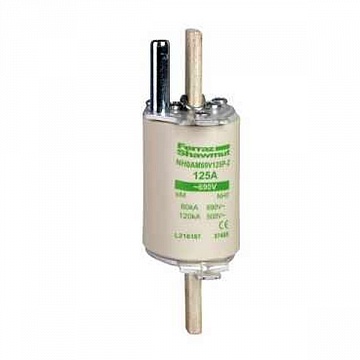 ПРЕДОХРАНИТЕЛЬ 1E AM 200 DF4HA1201 Schneider Electric