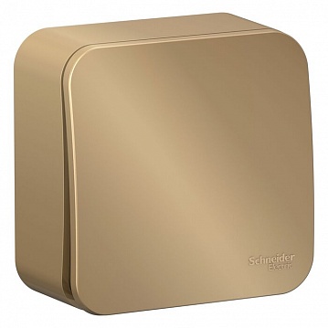 Выключатель 1-клавишный BLANCA, открытый монтаж, титан BLNVA101014 Schneider Electric