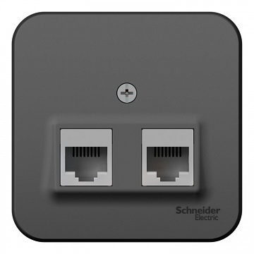 Розетка компьютерная 2xRJ45 Cat.5 BLANCA, антрацит BLNIA045456 Schneider Electric