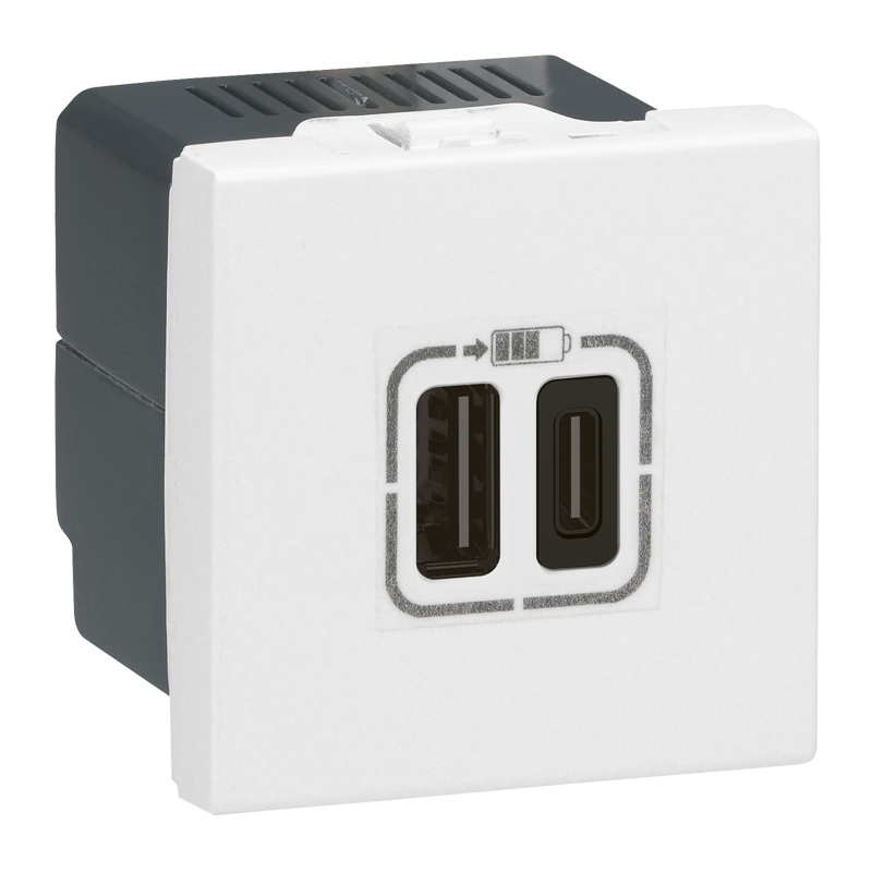 Розетка 2xUSB-C для зарядки - Программа Mosaic - 2 модуля - белый 077590 Legrand