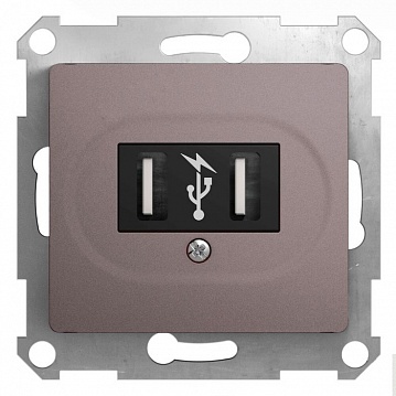 Розетка 2xUSB GLOSSA, платина GSL001232 Schneider Electric