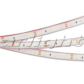Лента RTW 2-5000PGS 12V Warm (3528, 300 LED, LUX) 013407 Arlight