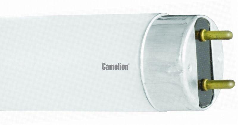 Лампа люминесцентная FT8-36W/33 36Вт T8 4200К G13 Cool light