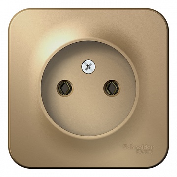 Розетка BLANCA, открытый монтаж, титан BLNRA000104 Schneider Electric