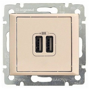 Розетка 2xUSB VALENA DIY, слоновая кость 694372 Legrand