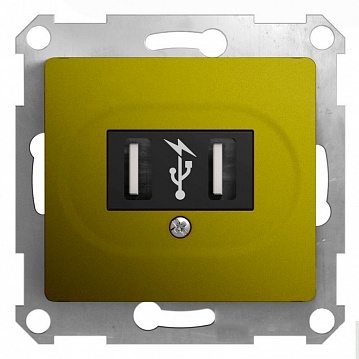 Розетка 2xUSB GLOSSA, фисташковый GSL001032 Schneider Electric