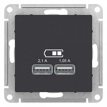 Розетка 2xUSB ATLASDESIGN, карбон ATN001033 Schneider Electric