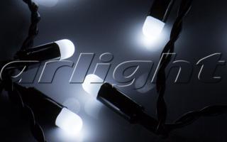 Гирлянда ARL-BULLET-5000-50LED White (220V, 5W), 19847 019847 Arlight