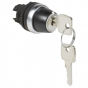 Переключатель с ключом Osmoz, 2 позиции 023955 Legrand