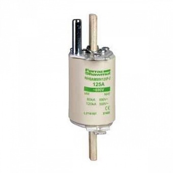 ПРЕДОХРАНИТЕЛЬ 1E AM 200 DF4HA1201 Schneider Electric
