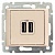 Розетка 2xUSB VALENA DIY, слоновая кость 694372 Legrand