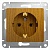 Розетка GLOSSA, скрытый монтаж, с заземлением, дуб GSL000543 Schneider Electric